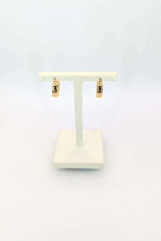 18kt Hoops Earring